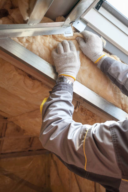 Eco-Friendly or Green Insulation Solutions in Roxana, IL